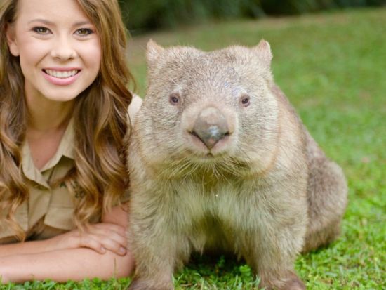 オーストラリア動物園＆ムールーラバビーチ1日観光ツアー　野生動物の裏側を知る病院見学やビーチ＋名物グルメを満喫！＜ブリスベン発着＞