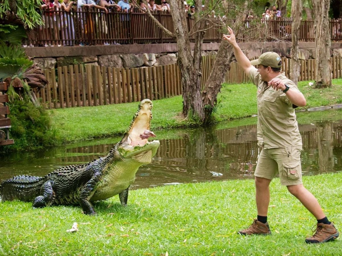 オーストラリア動物園（Australia Zoo）入場ツアー スリル満点の