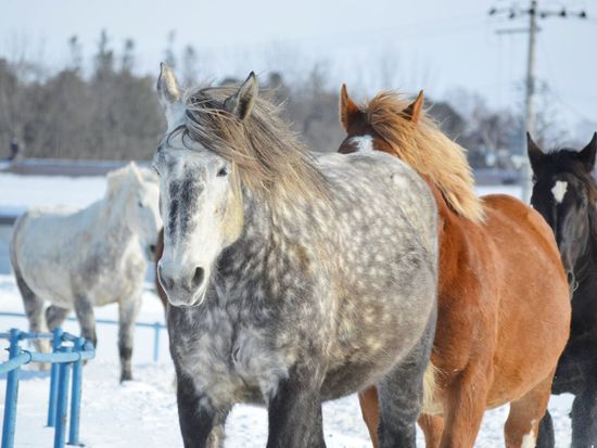 473115978_122101355858720642_7811136207424658541_n