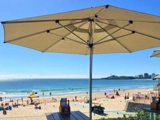 オーストラリア動物園＆ムールーラバビーチ1日観光ツアー　野生動物の裏側を知る病院見学やビーチ＋名物グルメを満喫！＜ブリスベン発着＞