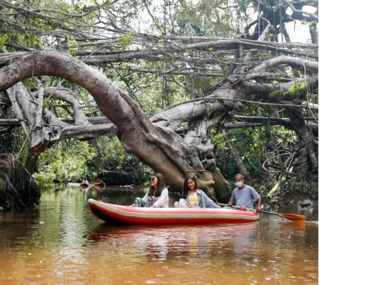【カオラック発】タクアパ旧市街とリトルアマゾン｜自然と文化を楽しむ半日カヌーツアー＜午前発／英語ガイド＞