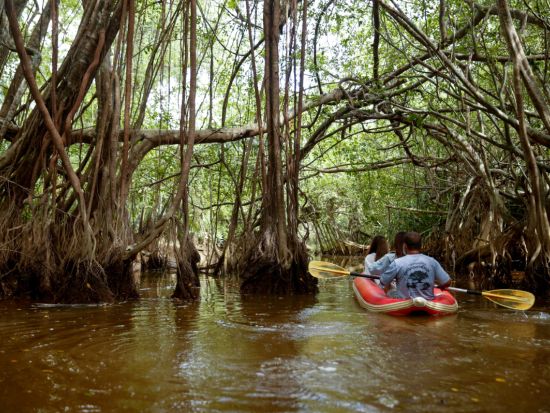 【カオラック発】タクアパ旧市街とリトルアマゾン｜自然と文化を楽しむ半日カヌーツアー＜午前発／英語ガイド＞