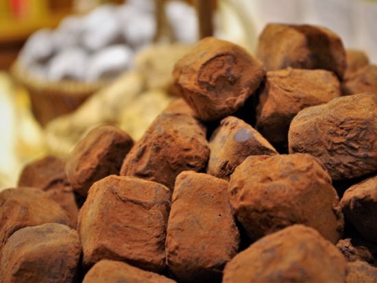 本場ベルギーのチョコレート三昧ウォーキングツアー！チョコ10種試食&手作り体験＜ブリュッセル発＞