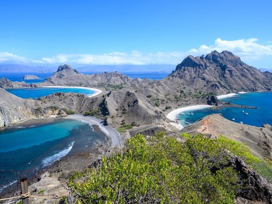 shutterstock_2573600215