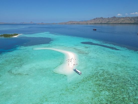 shutterstock_2476453155