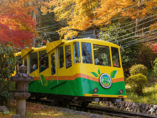 Gemini_Generated_Image_i2550di2550di255