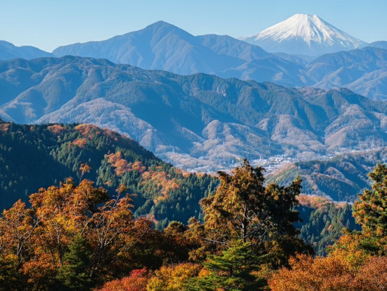 Gemini_Generated_Image_ye8w0gye8w0gye8w