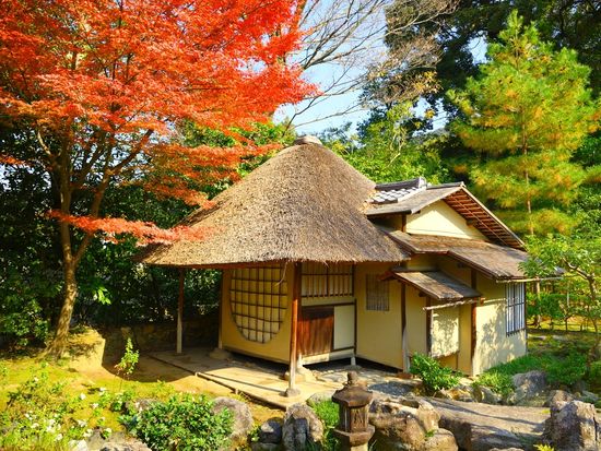 pixta_44340604_XL (1)