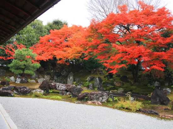 Japan_Kyoto_Entokuin_pixta_6702409