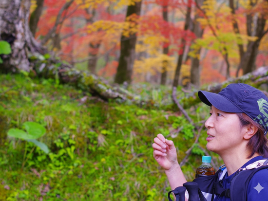 Gemini_Generated_Image_wm8qtnwm8qtnwm8q