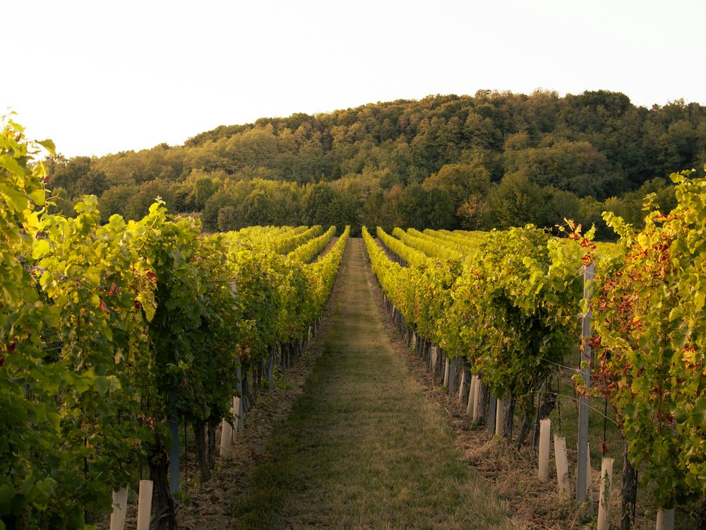 lukas-kulla-zdbbjqfE-ZI-unsplash