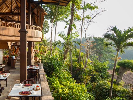 自然に囲まれた絶景ピタマハリゾートでランチ&プール＋ウブド自由散策＜スパ付きプランあり／日本語ガイド／ホテル送迎／シャトル乗り放題＞