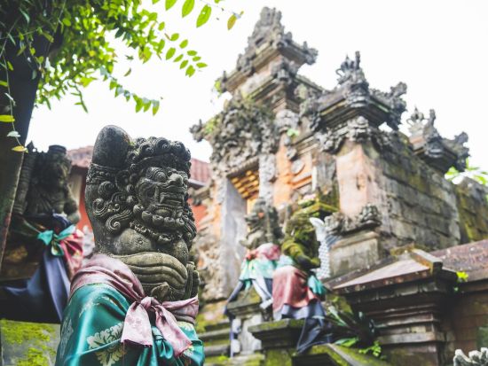 自然に囲まれた絶景ピタマハリゾートでランチ&プール＋ウブド自由散策＜スパ付きプランあり／日本語ガイド／ホテル送迎／シャトル乗り放題＞