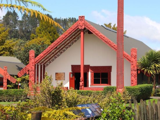 【洞窟の天の川×大地の神秘】ロトルアで土ボタル、国鳥キウイ、間欠泉を巡るNZ自然満喫ツアー＜日本語ガイド／オークランド発＞