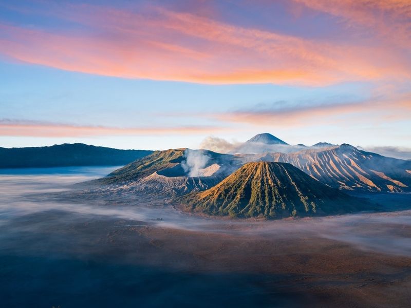 shutterstock_2466266649