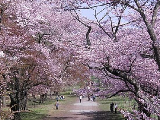 ダウンロード (1)