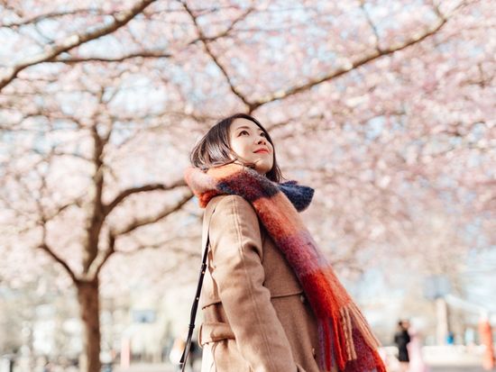 Japan_cherry blossoms_GettyImages-1309630314