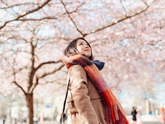 札幌発日帰りバスツアー　静内二十間道路桜並木　圧巻の桜トンネルを90分満喫！＜札幌発着＞ by クラブツーリズム
