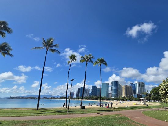 オアフ島半日観光シャトル　この木なんの木＋ハワイ出雲大社＋カメハメハ大王像＋イオラニ宮殿　11月より訪問スポット2カ所追加！＜日本語または英語ドライバー＞