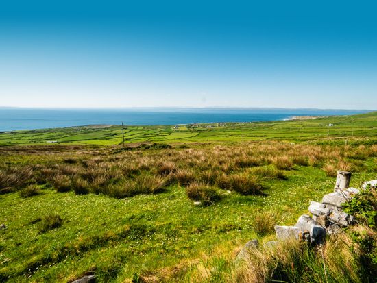 AdobeStock_1557868932