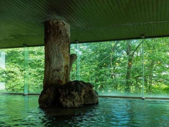 【仙台発】東北の秘湯4湯めぐり1泊2日バスツアー　厳美渓・瀬美・新鉛・乳頭温泉郷