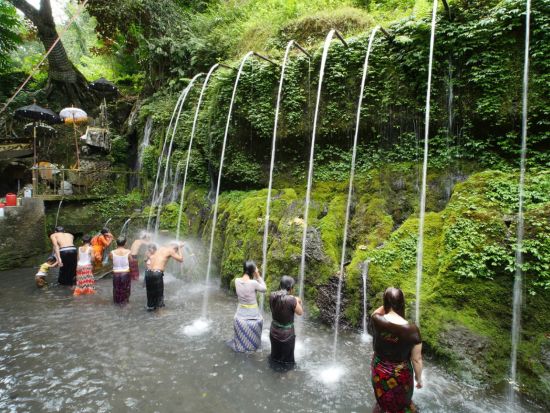 【沐浴（ムルカット）+ウブド観光】聖なる沐浴で心身を清め、ウブドで過ごす至福の午後/ウブドの主要観光地を網羅«貸切/日本語ガイド/ホテル送迎/アレンジ自由»