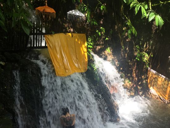 【沐浴（ムルカット）+ウブド観光】聖なる沐浴で心身を清め、ウブドで過ごす至福の午後/ウブドの主要観光地を網羅«貸切/日本語ガイド/ホテル送迎/アレンジ自由»