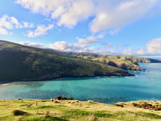 アカロア＆バンクス半島の絶景秘境めぐり