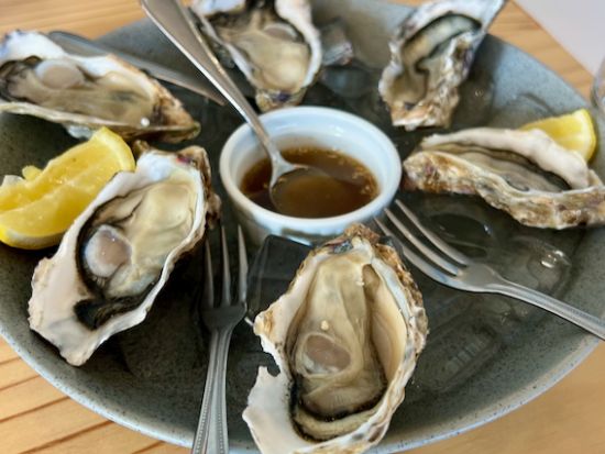 アカロア＆バンクス半島の絶景秘境めぐり