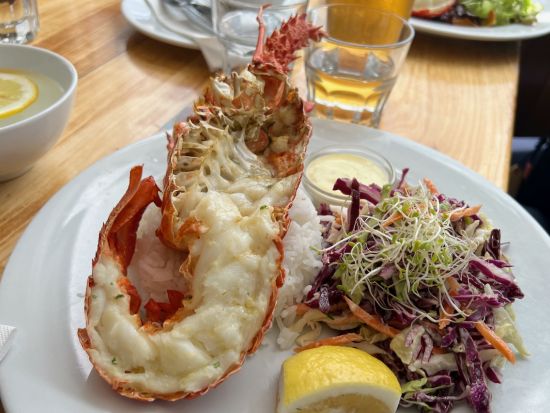 クライストチャーチからのカイコウラ日帰り旅行