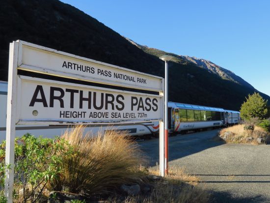 トランツアルパイン鉄道＆癒しの森林ネイチャーウォーク