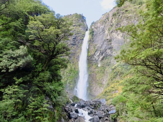 トランツアルパイン鉄道＆癒しの森林ネイチャーウォーク