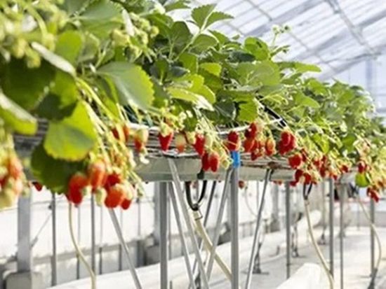 スクリーンショット 2025-10-20 130231