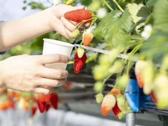 スクリーンショット 2025-10-20 130316