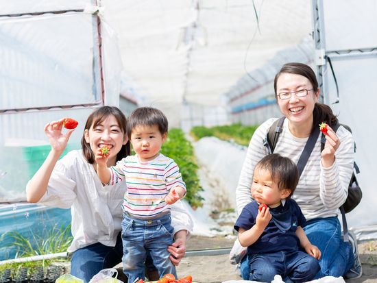 Japan_Generic Photos_Strawberry_pixta_67580549_M