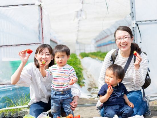 メルキュール京都宮津リゾート＆スパ いちご狩り45分食べ放題プラン＜完全予約制＞