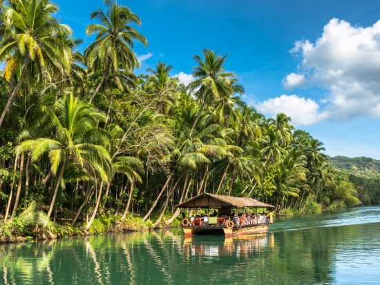 ボホール島 定番観光1日ツアー チョコレートヒルズ＋世界最小メガネザル＋ロボック川クルーズ ほか＜日本語ガイド／送迎付／混載または貸切／約8時間／ボホール島発＞