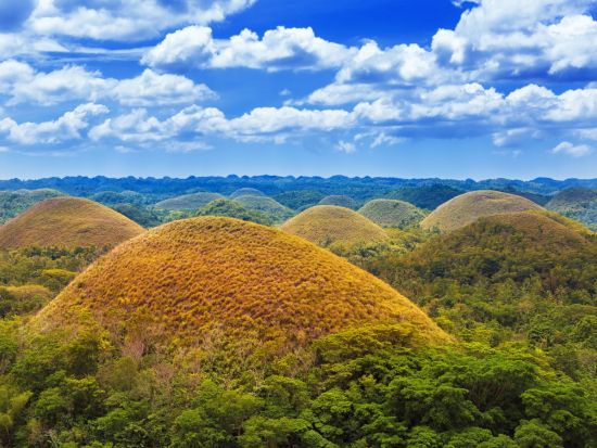 ボホール島 定番観光1日ツアー チョコレートヒルズ＋世界最小メガネザル＋ロボック川クルーズ ほか＜日本語ガイド／送迎付／混載または貸切／約8時間／ボホール島発＞