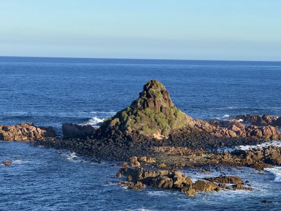 フィリップ島ペンギンパレード1日ツアー　農場や動物園でコアラやカンガルーたちとのふれあいも満喫！＜午後／日本語ガイド／英語・韓国語ガイド＞