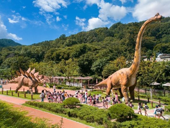 大邱 乗り降り自由バス 1日乗車券事前予約