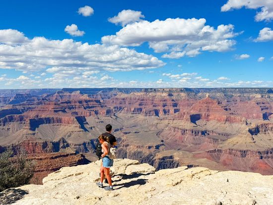 GCNヤバパイポイント