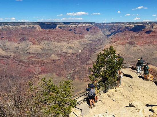開通100周年特別企画！ルート66＆グランドキャニオン日帰り観光ツアー　映画『カーズ』の舞台セリグマンやハックベリー立ち寄り＜日本語ドライバーガイド＞