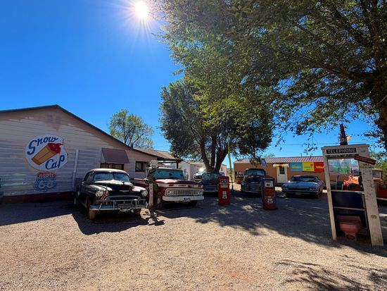 セリグマン_CARS