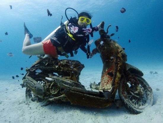 経験者限定！英語ガイドと潜るファンダイビング｜ラチャヤイ・ラチャノイ／ピピ島＋マリンパーク／沈船ダイブ＜日本語サポート／プライベートガイドプランもあり＞