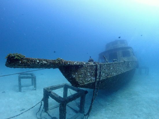 ブランク・初心者歓迎！安心の日本語プライベートファンダイブ｜浅瀬からゆっくり潜るラチャヤイ・ラチャノイ島＜2～3ダイブ／日本人インストラクター同行＞