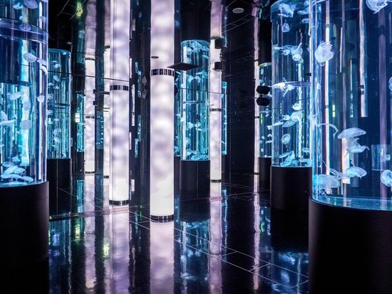 pixta_98713118_M (1)