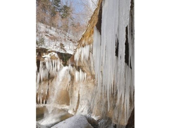 支笏湖 七条大滝スノートレッキングツアー  f冬に現れる氷の宮殿を見に行こう＜ホットドリンク・お菓子付／午前・午後／12～3月／支笏湖発着＞byオーシャンデイズ