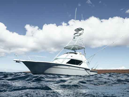 海釣り体験　貸切チャーターでマグロやカジキなどの大物を狙う！釣り用具付き＜貸切／4～8時間／ケワロ湾＞