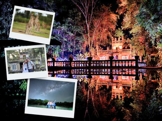 パロネラパーク&野生動物探しツアー　昼と夜のパロネラパーク＋野生の動物探し、星空フォト付きプランもあり＜日本語／ケアンズ発＞