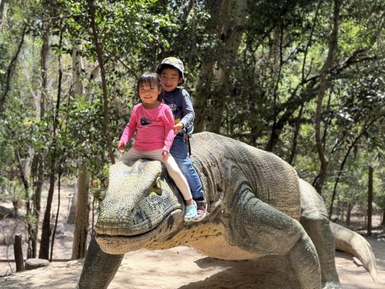 【日本人ガイド確約】ハートリーズ動物園 & 海の見える絶景スポットで写真付き！コアラと朝食付きなど選べるプラン♪＜日本語／ケアンズ発＞